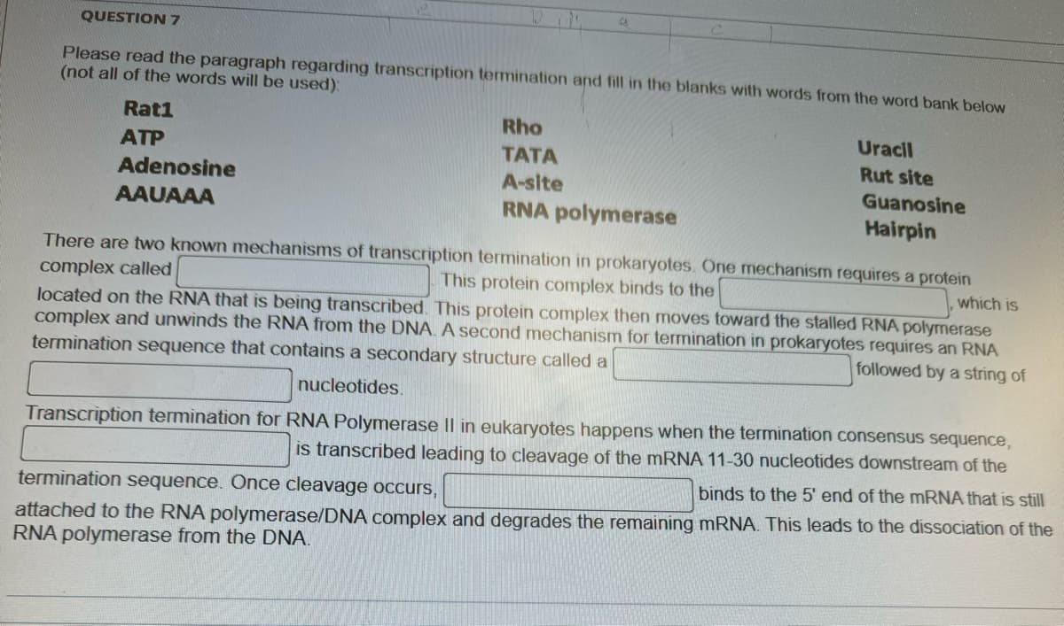 a
QUESTION 7
Please read the paragraph regarding transcription termination and fill in the blanks with words from the word bank below
(not all of the words will be used):
Rat1
ATP
Adenosine
AAUAAA
Rho
TATA
A-site
RNA polymerase
Uracil
Rut site
Guanosine
Hairpin
There are two known mechanisms of transcription termination in prokaryotes. One mechanism requires a protein
complex called
This protein complex binds to the
which is
located on the RNA that is being transcribed. This protein complex then moves toward the stalled RNA polymerase
complex and unwinds the RNA from the DNA. A second mechanism for termination in prokaryotes requires an RNA
termination sequence that contains a secondary structure called a
followed by a string of
nucleotides.
Transcription termination for RNA Polymerase II in eukaryotes happens when the termination consensus sequence,
is transcribed leading to cleavage of the mRNA 11-30 nucleotides downstream of the
termination sequence. Once cleavage occurs,
binds to the 5' end of the mRNA that is still
attached to the RNA polymerase/DNA complex and degrades the remaining mRNA. This leads to the dissociation of the
RNA polymerase from the DNA.